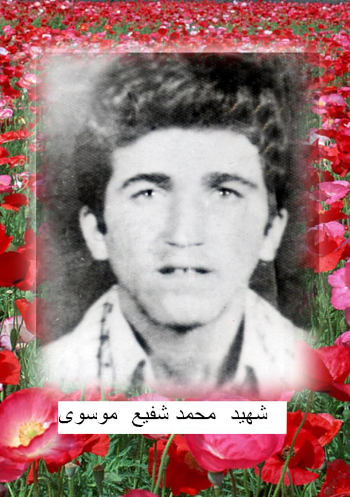فاقد تصویر